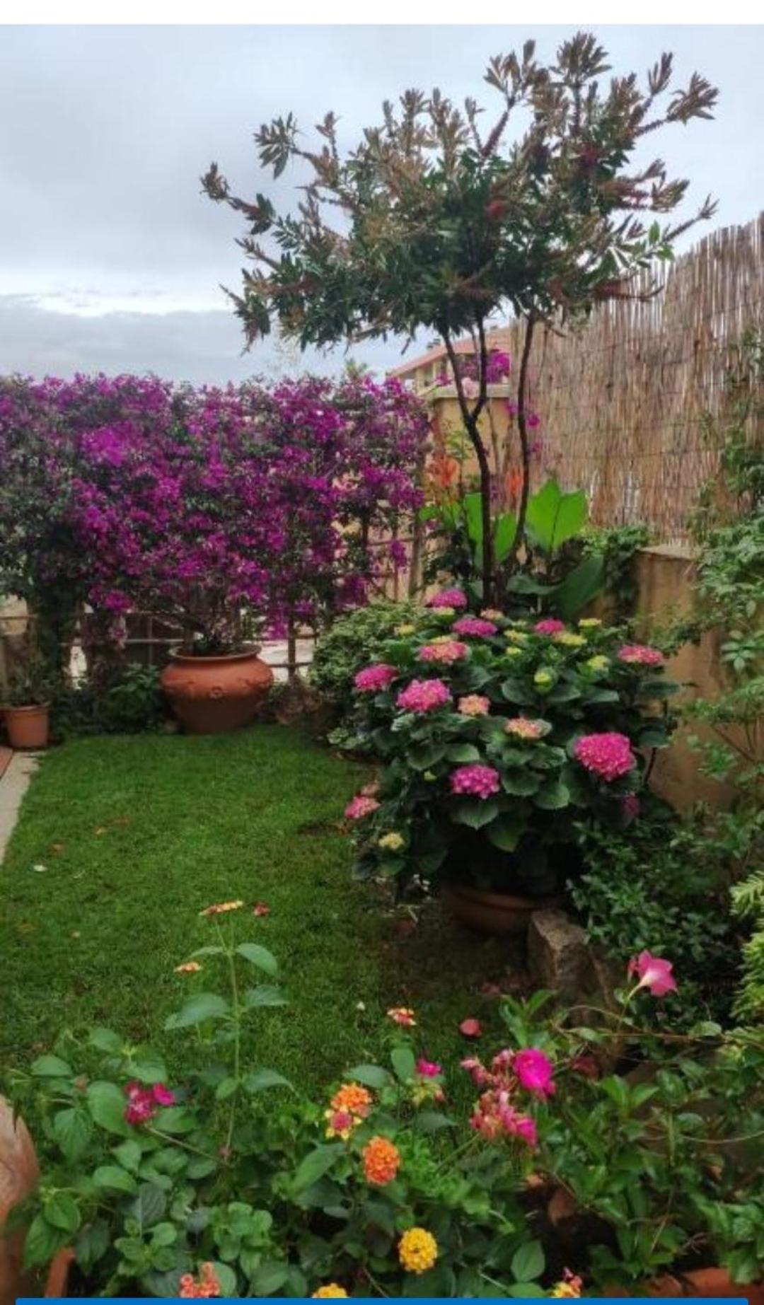 Apartamento La Casa Di Luca Olbia Exterior foto